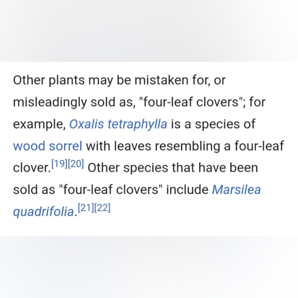 🍀 Real Wild Five 5 Leaf Clover Rare Luck REAL Found 4/26/23 in USA yard Lucky - Picture 15 of 17